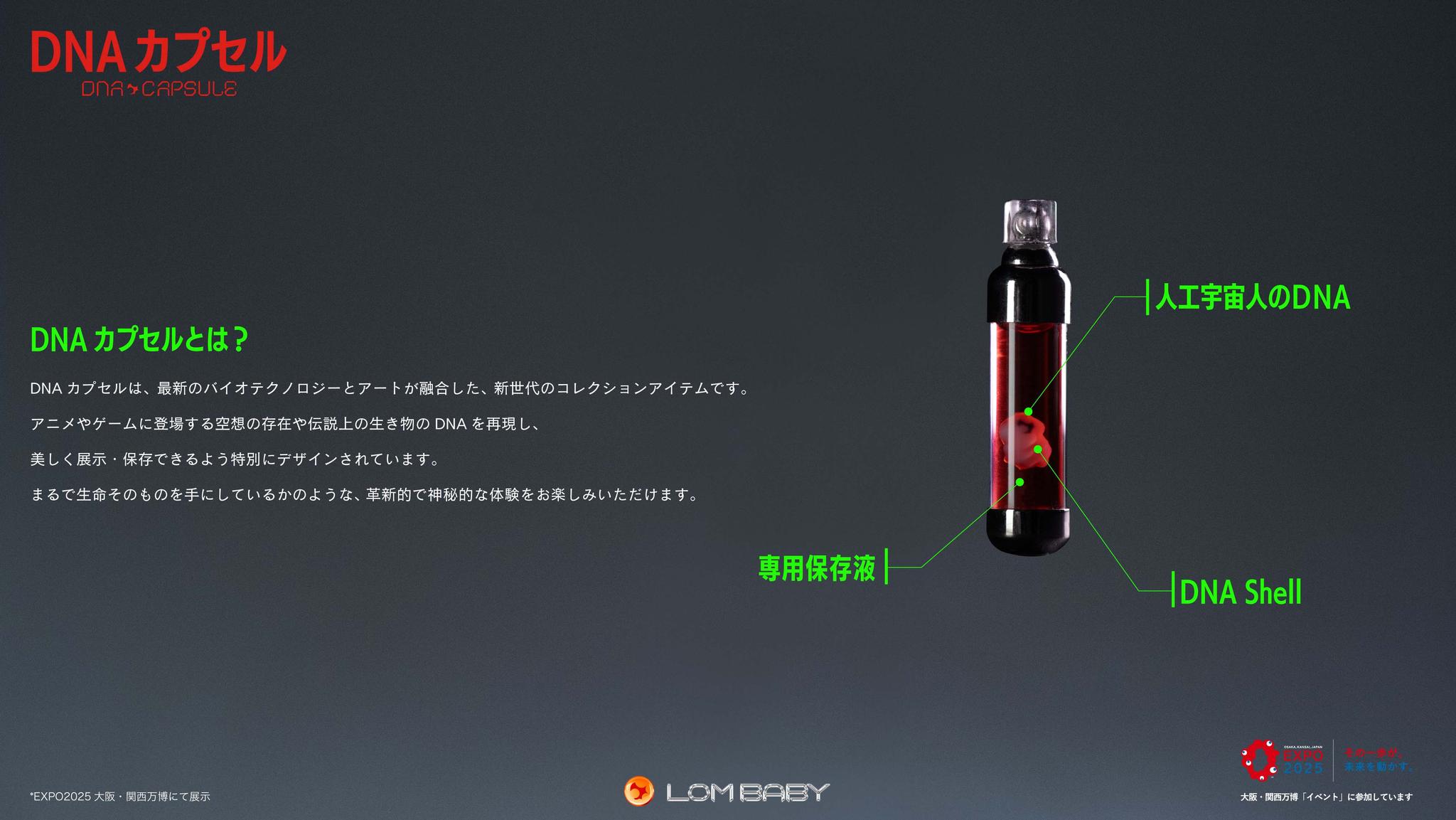 詳細説明1