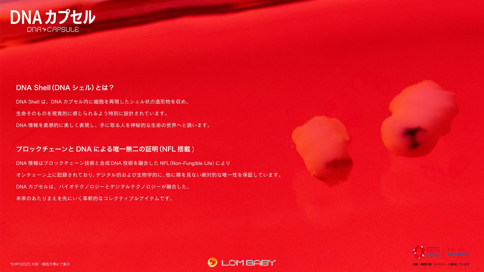 詳細説明3