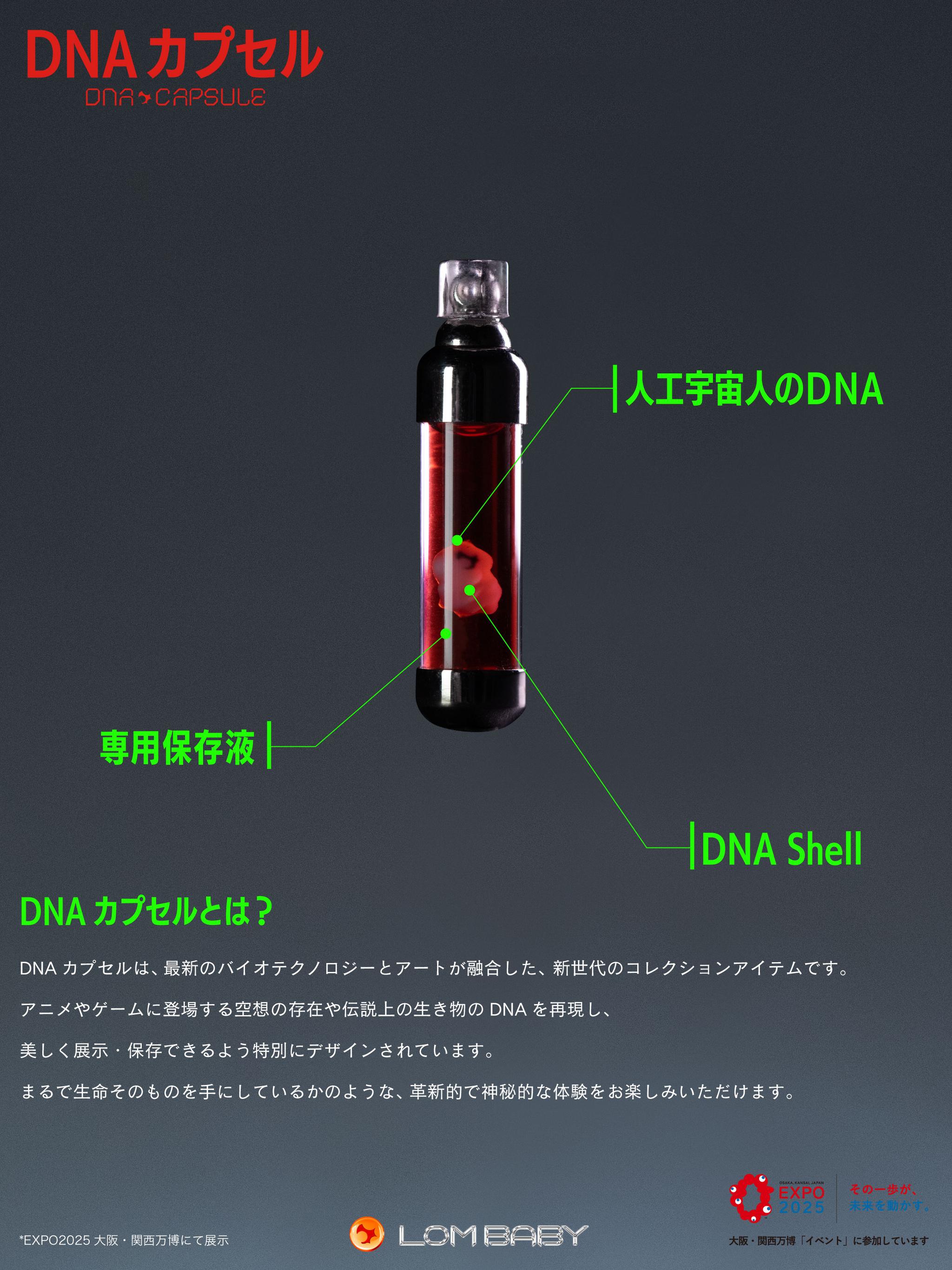 詳細説明1
