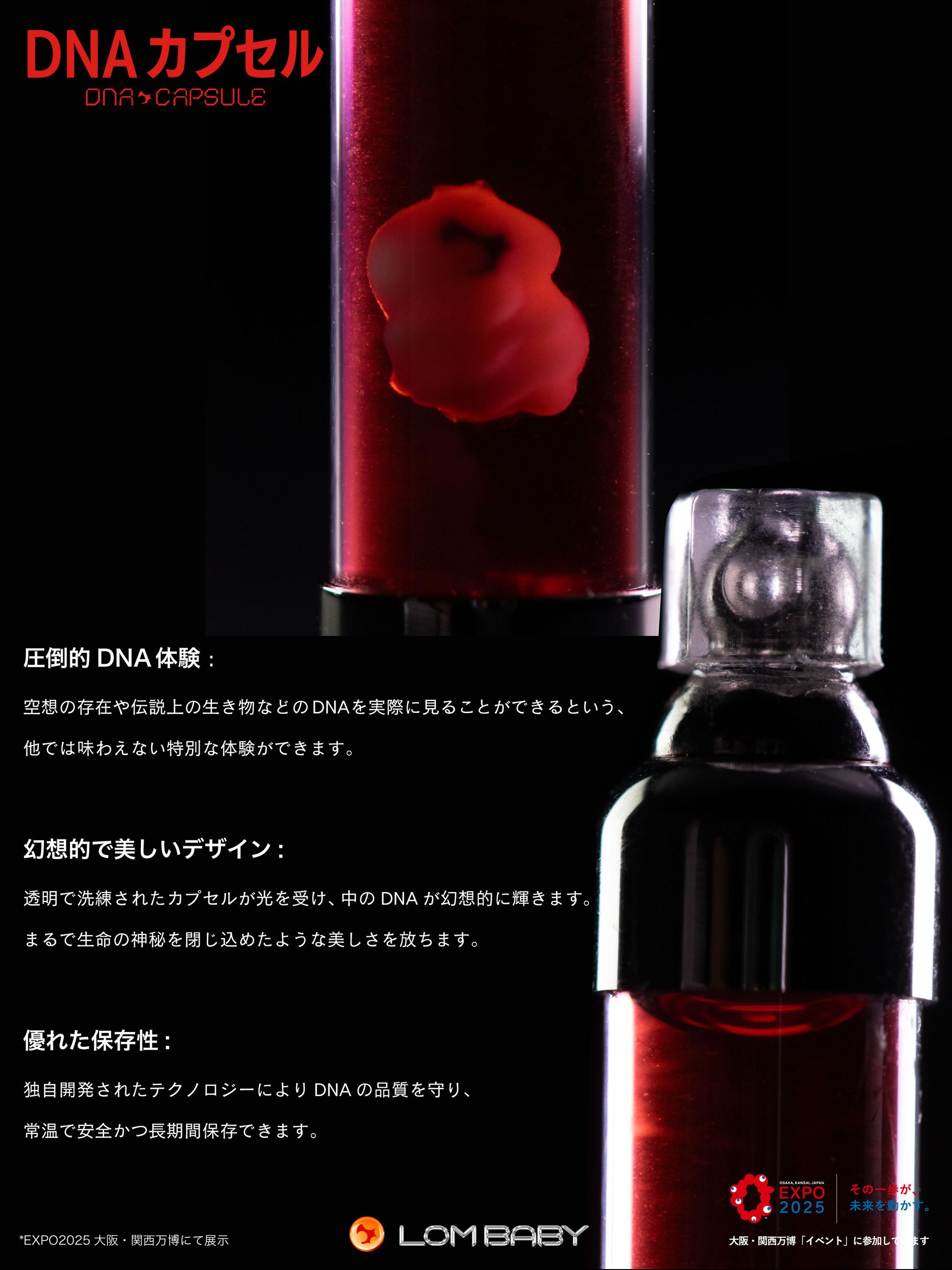 詳細説明2