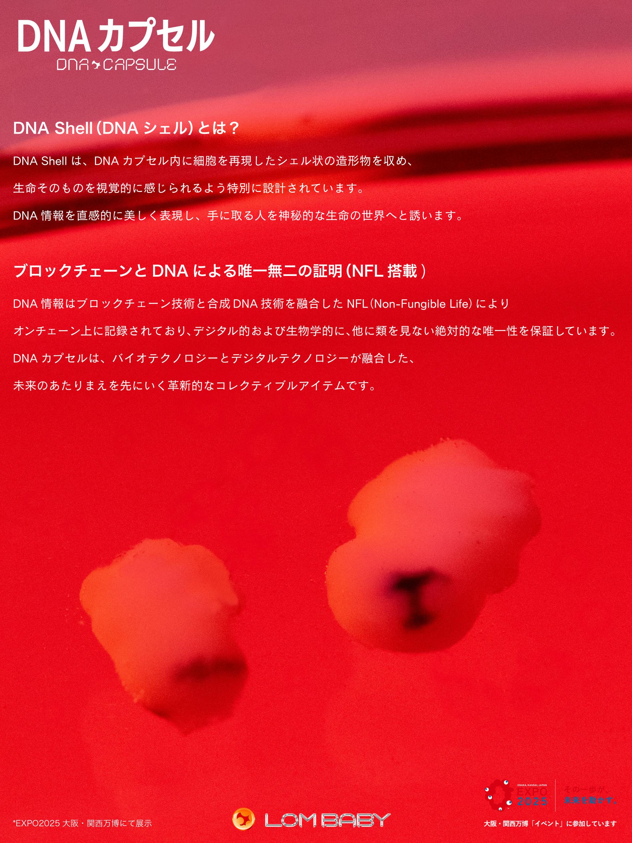 詳細説明3